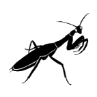 Click here to access Mantodea 